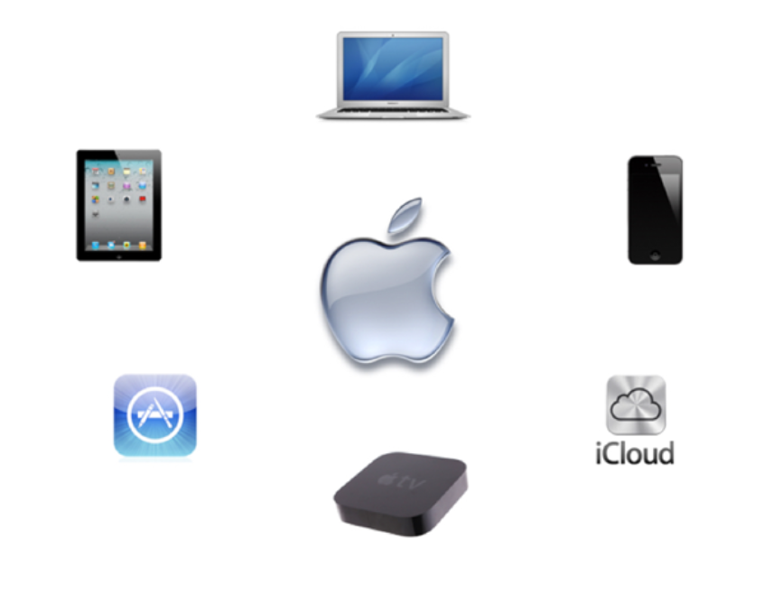 image-20210222084332304